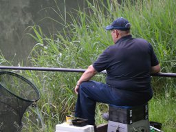 Competities HSV Alfheim